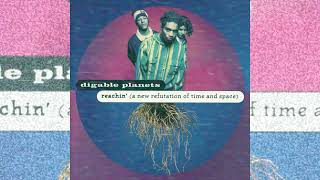 Examination of What Clean Radio Digable Planets