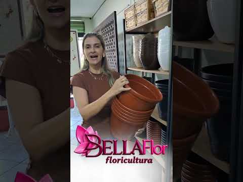 Bella Flor Floricultura em Jussara Goiás