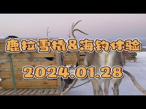 仅此一次的特罗姆瑟