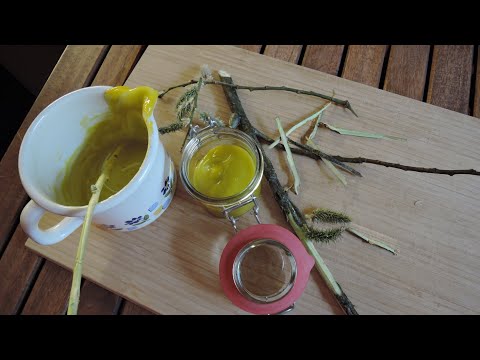 Weidensalbe | Gegen Schmerzen