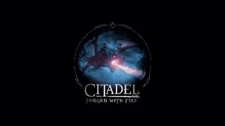Citadel Forged In Fire, Divine Crusade Trophy Guide.