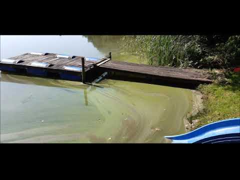 Agroturystyka Wilcze Błota, Jezioro Stare