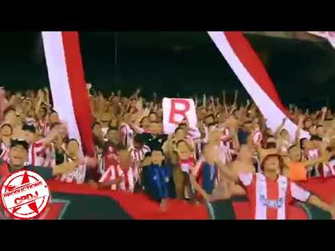 "TE LO ROBE - LA BANDA DE LOS KUERVOS" Barra: La Banda de Los Kuervos &bull; Club: Junior de Barranquilla &bull; País: Colombia