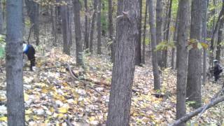 Riding Owls Maze from bottom (south) to top (north). Intermediate trail.