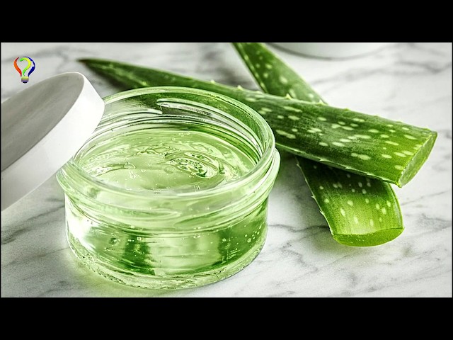 firma aloe vera Aloe Vera After Sun Gel 6oz main image 1
