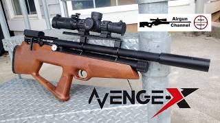 Avenge-X Micro Bullpup PCP Air Rifle Review (Air Venturi)