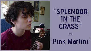 splendor in the grass - pink martini ukulele cover / sevda deniz karali