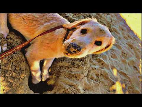 Ejercicio de iluminación por María Victoria Di Stefano