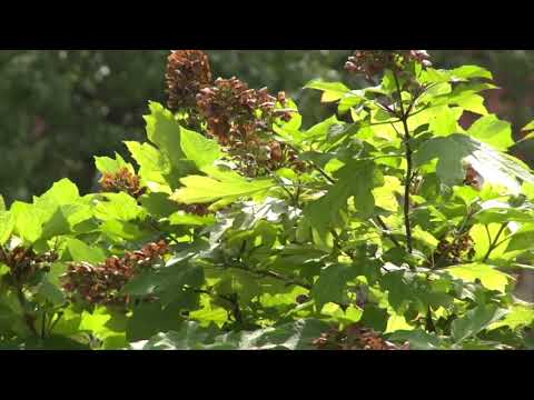 Newton Debt Consolidation