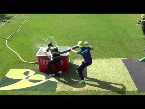 25.6.2016 DHZ Jablonica 2.pokus - Letničie