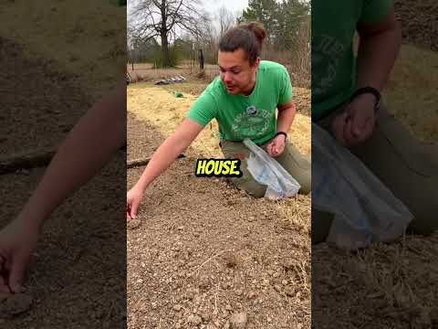 Supercharged Chicken Tractor for Permaculture Soil Health