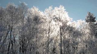 Forgiven Psalm 32 by Sons of Korah Display