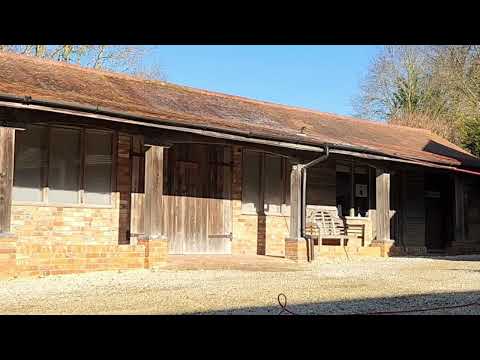 AP Moss Removal video.