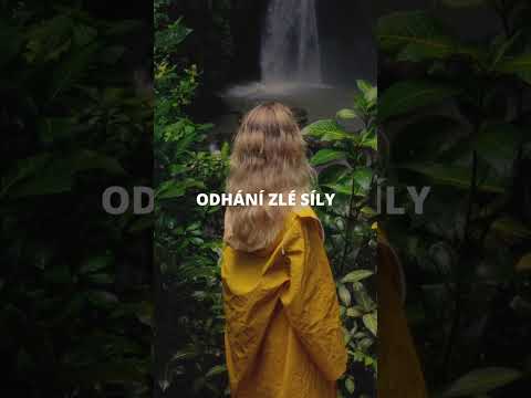 Saro olejek eteryczny - W 100% czysty i naturalny olejek eteryczny w jakości CTEO® - 3