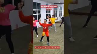 Download lagu #senamaerobik #senam #aerobic #koreografi #pemula mp3