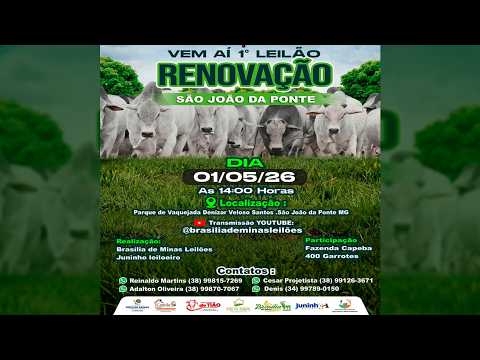 1º Leilão Renovação São João da Ponte - MG