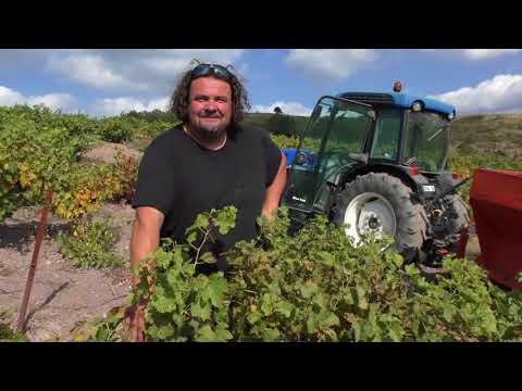 Domaine de Dernacueillette Guillaume Boussens Vigneron d'Altitude