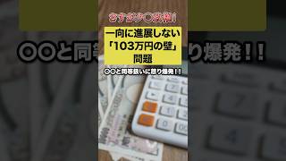103万円の壁問題を一向に進展しようとしないク〇政権‼︎「〇〇より下ってナメてんの！？」#自民党 #石破茂 #宮沢洋一