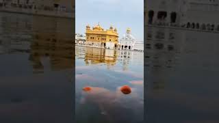 Download lagu Satnaam Waheguru | Shabad Gurbani Video Status | New Dharmik WhatsApp Video Status 2021 mp3