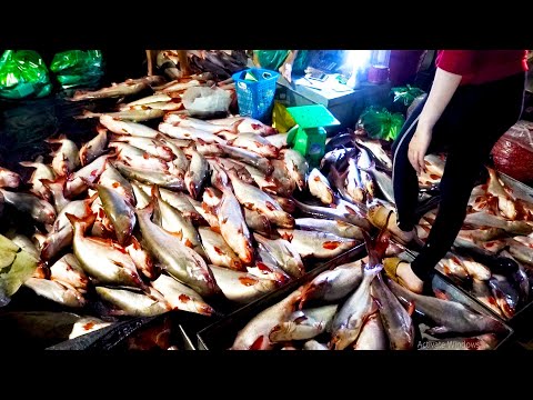 Morning Market Scenes, Chhbar Ampov Market Morning Views