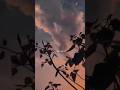Teri Sanso Me Aise Bas Jau Lyrics Status Aesthetic Video Shorts Lyrics Shortvideo Aesthetic
