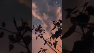 Download lagu Teri Sanso Me Aise Bas Jau Lyrics Status Aesthetic Video |✓ #shorts #lyrics #shortvideo #aesthetic mp3