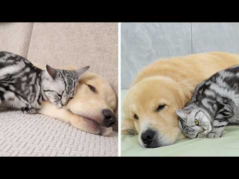 YouTube 썸네일