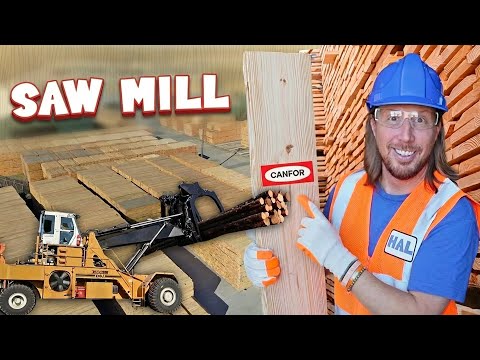 Handyman Hal Visits the Saw Mill | How Lumber Is Made | Tree to Lumber Process