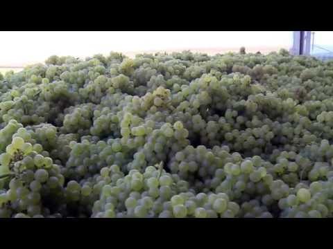 Complexul de vinificatie la final - Domeniile Lungu