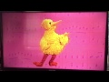 Big Bird In Music
