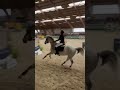 Poney de sport &agrave; vendre 