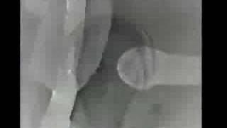 Swordfishtromboneman