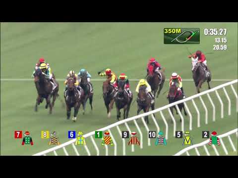 2/5/2021 (632) Cordyceps Six - T Piccone