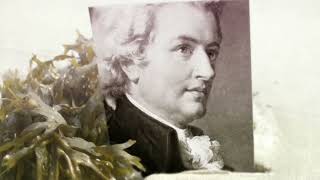 Mozart: Concerto in C Major for Flute, Harp and Orchestra, KV 299 / 297c: I. Allegro (Music Video)