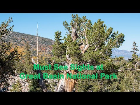 image-What is open at Great Basin National Park?
