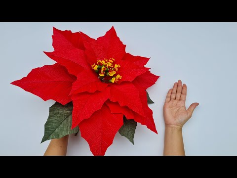 How to make Giant Poinsettia flower from crepe paper / Paper Flower / Góc nhỏ Handmade