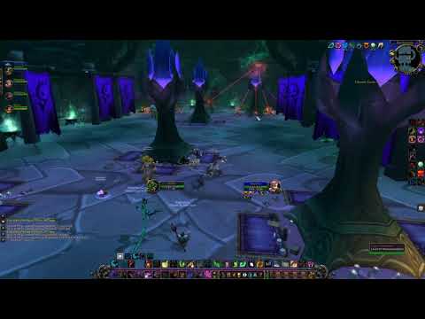 Feral Druid tanking Shadow Labs (N) commentary (TBC classic)