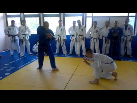 Vladimir Petrovic (Realni Aikido) - pistolj