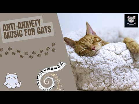Music break for your cat to reduce stress (60 BPM)