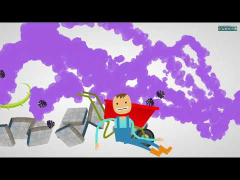 Le radical simple en français 2/5 (mots de la même famille) #coliglote