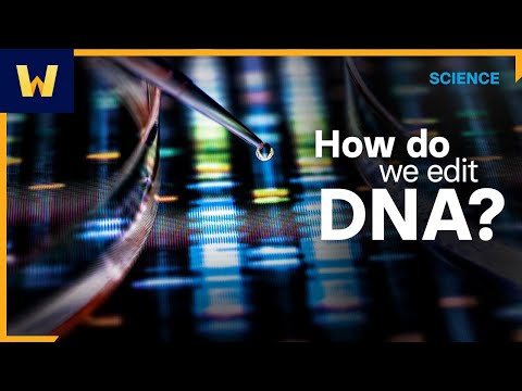 How Do We Edit DNA? | CRISPR and Gene Editing Technology