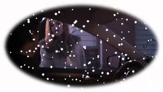 A Very Merry Christmas - Ding Dong Merrily on High