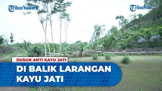 Kisah di Balik Kepercayaan Warga Tidak Pakai Kayu Jati untuk Bangunan Rumah di Dusun Poro Wonogiri