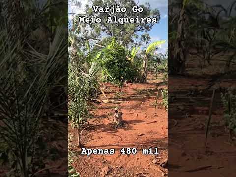 Varjão go meio Alqueires  casa muito boa terra de cultura apenas 480 mil #sitio #investimentocerto