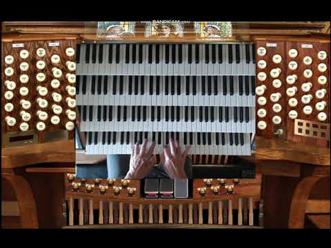 This Land is My Land