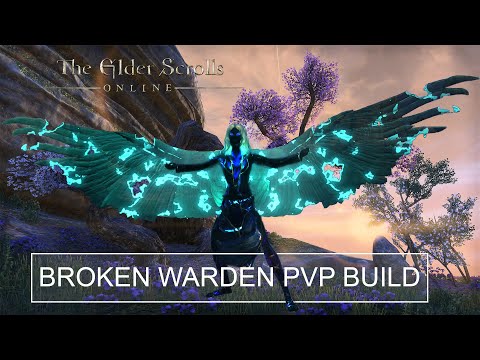 Broken Meta Ice Magicka Warden PvP Build For Firesong DLC | The Elder Scrolls Online
