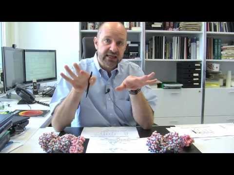 The flexible tail of the prion protein poisons brain cells