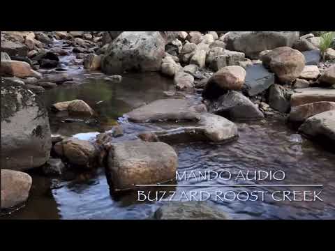 Buzzard Roost Creek - Mando Audio (Official Audio)