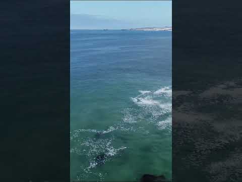punta de choros comuna de la higuera región de coquimbo