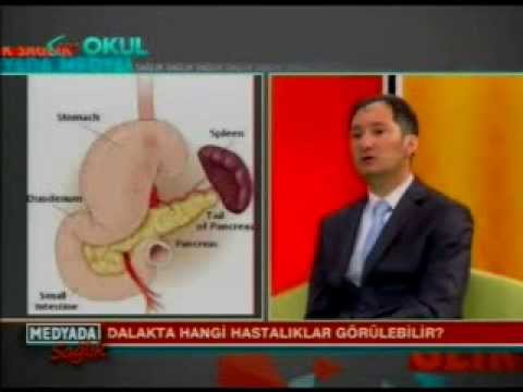 download lagu mp3 mp4 Dalak Bymesi Nasl Anlalr, download lagu Dalak Bymesi Nasl Anlalr gratis, unduh video klip Dalak Bymesi Nasl Anlalr
